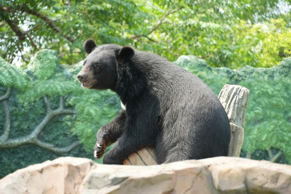 Comment la culture populaire évolue-t-elle face aux nouvelles plateformes numériques ?
